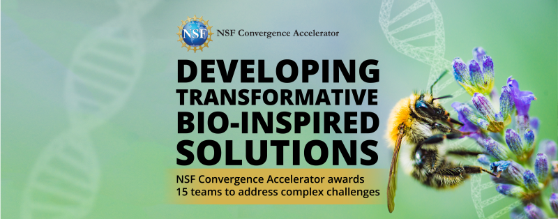 NSF invests nearly $10M to develop transformative bio-inspired solutions |  NSF - National Science Foundation
